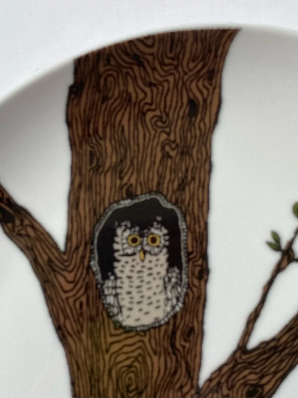 West Elm Owl Plate 8.5” Serving Art Drawing Display Bird Tree Ceramic Birding